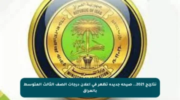 نتائج 2021.. صيحة جديدة تظهر في إعلان درجات الصف الثالث المتوسط بالعراق